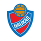 Haukar